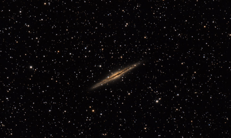 AP_NGC891_FINAL_SMALL.jpg