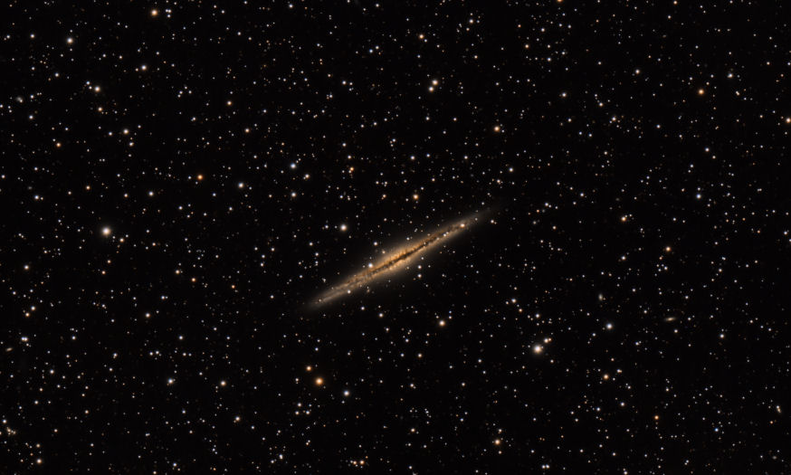 SW_NGC891_FINAL_SMALL.jpg